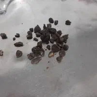 مومیایی یا اشک کوه