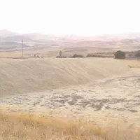 فروش کاه ریز نرم دیم