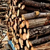 چوب وهیزم باغی