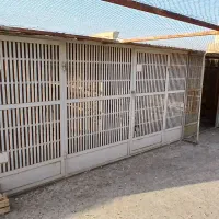 یک عدد گنجه کبوتر سالم وتمیز|لوازم جانبی حیوانات|قم, کلهری|دیوار