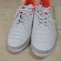 کتونی ورزشی سالنی تمپو ایکس فاینال|کیف، کفش، کمربند|ساری, |دیوار