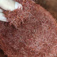 فروش زعفران درجه یک