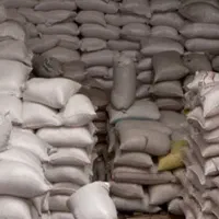 خاک‌اره مرغوب برای ذغال فشرده و کمپست، عمده|خدمات باغبانی و درختکاری|تهران, آرژانتین|دیوار