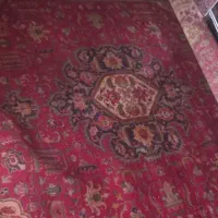 فرش دستباف|فرش|اسفراین, |دیوار