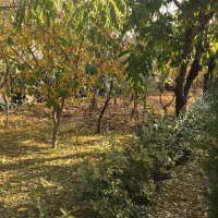 ویلا باغ کردان کوهسار|فروش خانه و ویلا|کوهسار (البرز), |دیوار