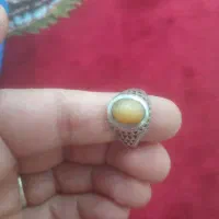 انگشتر|جواهرات|مریوان, |دیوار