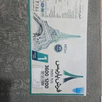 فرش ۱۲متری نوه