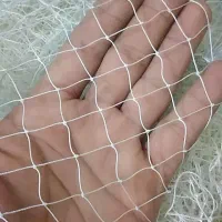 تور راهبد یا دامی