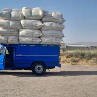 نیسان|خودرو سواری و وانت|کرج, کرج نو|دیوار