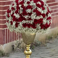 جام گل افتتاحیه|گل و گیاه طبیعی|اصفهان, هزارجریب|دیوار