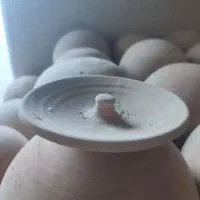 لونه سفالی پرنده