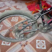 دوچرخه ۲۴|دوچرخه، اسکیت، اسکوتر|برازجان, |دیوار