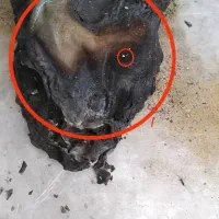 فال قهوه|خدمات پذیرایی، مراسم|مرند, |دیوار