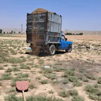 کودحیوانی عقیلی