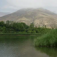 قطعه۲۴۰متری هلجرد شهرک ولیعصر/بهشت گمشدکرج