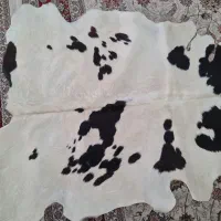 فرش پوست|فرش|خمینی‌شهر, |دیوار