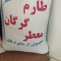 طارم گرگان           ۱۰۹