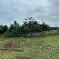 ۲۳۰متر زمین دارای مجوز ساخت|فروش زمین و ملک کلنگی|لیسار, |دیوار