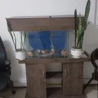 آکواریوم با پایه ام دی اف کاملا سالم|ماهی|ری, شهرری|دیوار