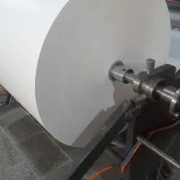 رول فیش پرینتر