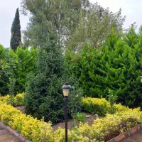 ویلا باع 650 متری/ تریبلکس / محدوده نجارده|فروش خانه و ویلا|نوشهر, |دیوار