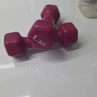 دمبل ۱ کیلویی