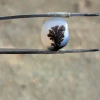 انواع عقیق شجر ۲ تومن|جواهرات|ورامین, ورامین|دیوار