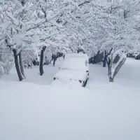 زمین باغشهری1000متری. قصرسبز