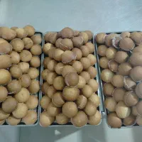 کیک یزدی و کشمشی|خوردنی و آشامیدنی|هشتگرد, مدرس|دیوار