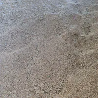 گندم میهن|خدمات باغبانی و درختکاری|شیروان (خراسان), |دیوار