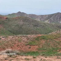 ملک-کشاورزی-مرغوب