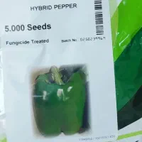 تامین انواع بذر سیفی‌جات اصل و وارداتی