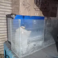 ۴ عدد آکواریوم با وسایل|ماهی|زاهدان, |دیوار