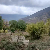 فروش زمین روستای سرسبز قورچای رامیان|فروش زمین و ملک کلنگی|رامیان, |دیوار
