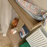 خونه درختی گربه
