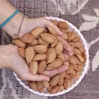 بادام سنگی تو پر و درشت|عمدهفروشی|مرند, |دیوار