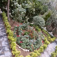 خدمات باغبانی باغچه کاری تعویض خاک باغچه|خدمات باغبانی و درختکاری|تهران, پونک|دیوار