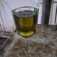روغن هسته زیتون