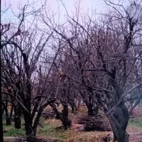 فروش باغ ویلا