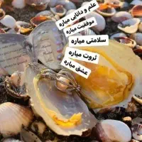 گردنبند|بدلیجات|سنندج, |دیوار