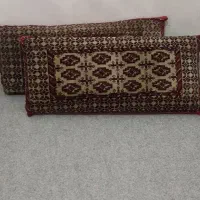 یک جفت پشتی (مخته)