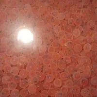 فروش تخم چشم زده تک جنس قزل الا