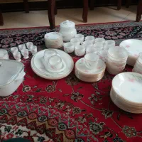 آرکوپال آمریکایی