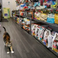 فروشنده پت شاپ