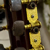 گیتار santana|گیتار، بیس، امپلیفایر|تهران, تهران‌نو|دیوار