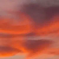 سیم کارت همراه اول