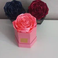 گل ربانی