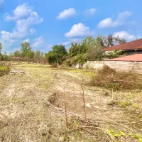 440 متری/چندقدمی سفیدرود/ویلا نشین/لشت نشا/لیچاه|فروش زمین و ملک کلنگی|رشت, منظریه|دیوار