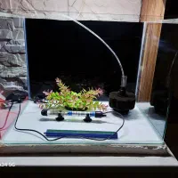 اکواریوم خم سایز۶۰×۵۰×۴۵بالوازم