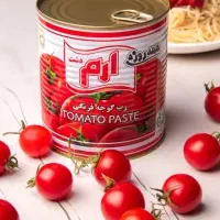 فروش رب گوجه|خوردنی و آشامیدنی|چابهار, |دیوار